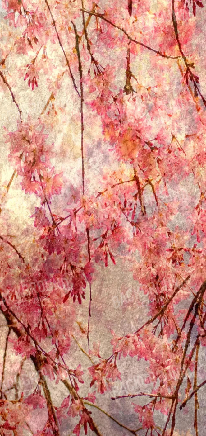 Cora 8X16 Ultracloth ( 96 X 192 Inch ) Backdrop