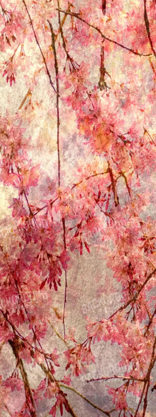 Cora 8X20 Ultracloth ( 96 X 240 Inch ) Backdrop