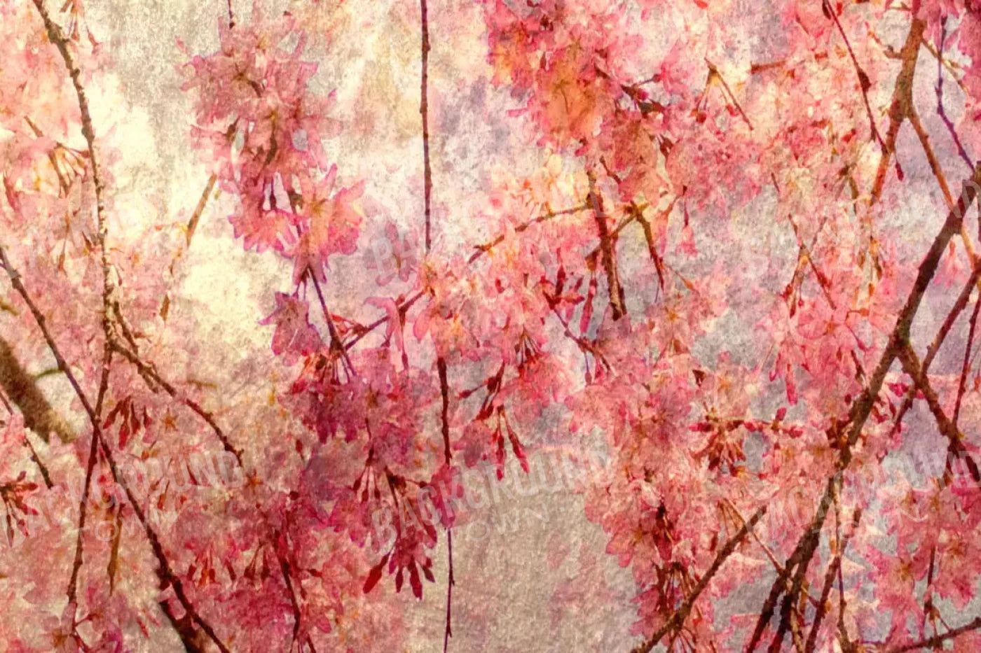 Cora 8X5 Ultracloth ( 96 X 60 Inch ) Backdrop