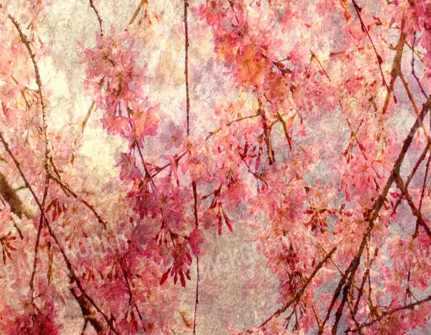 Cora 8X6 Fleece ( 96 X 72 Inch ) Backdrop