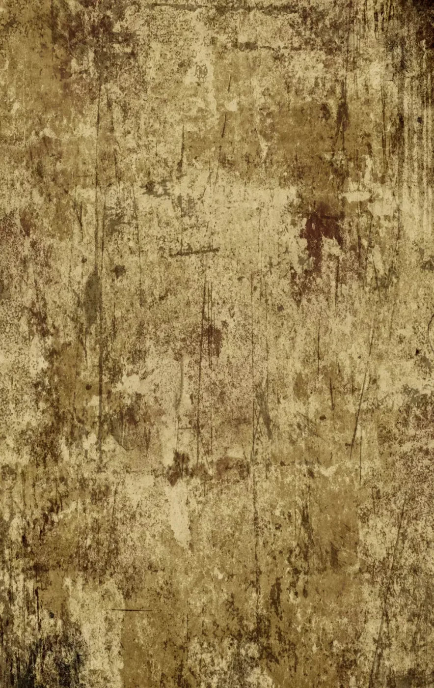 Cork 10X16 Ultracloth ( 120 X 192 Inch ) Backdrop