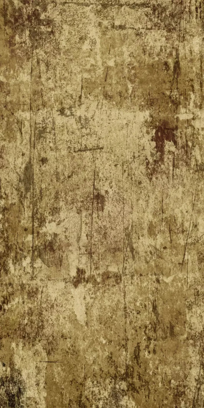 Cork 10X20 Ultracloth ( 120 X 240 Inch ) Backdrop