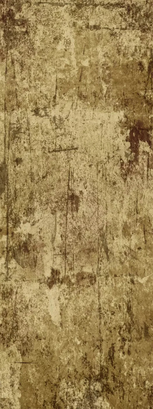 Cork 8X20 Ultracloth ( 96 X 240 Inch ) Backdrop