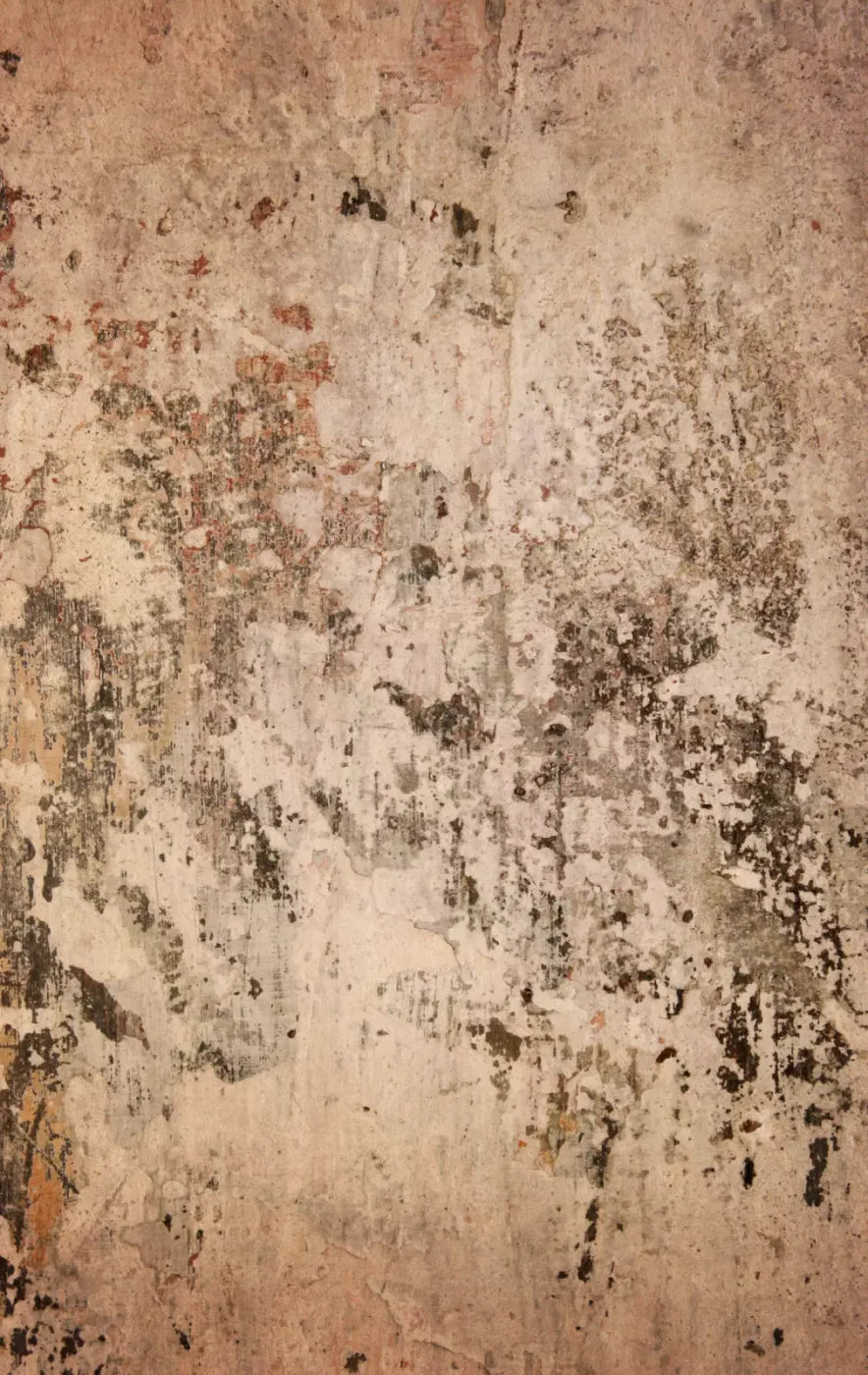 Corroded 10’X16’ Ultracloth (120 X 192 Inch) Backdrop