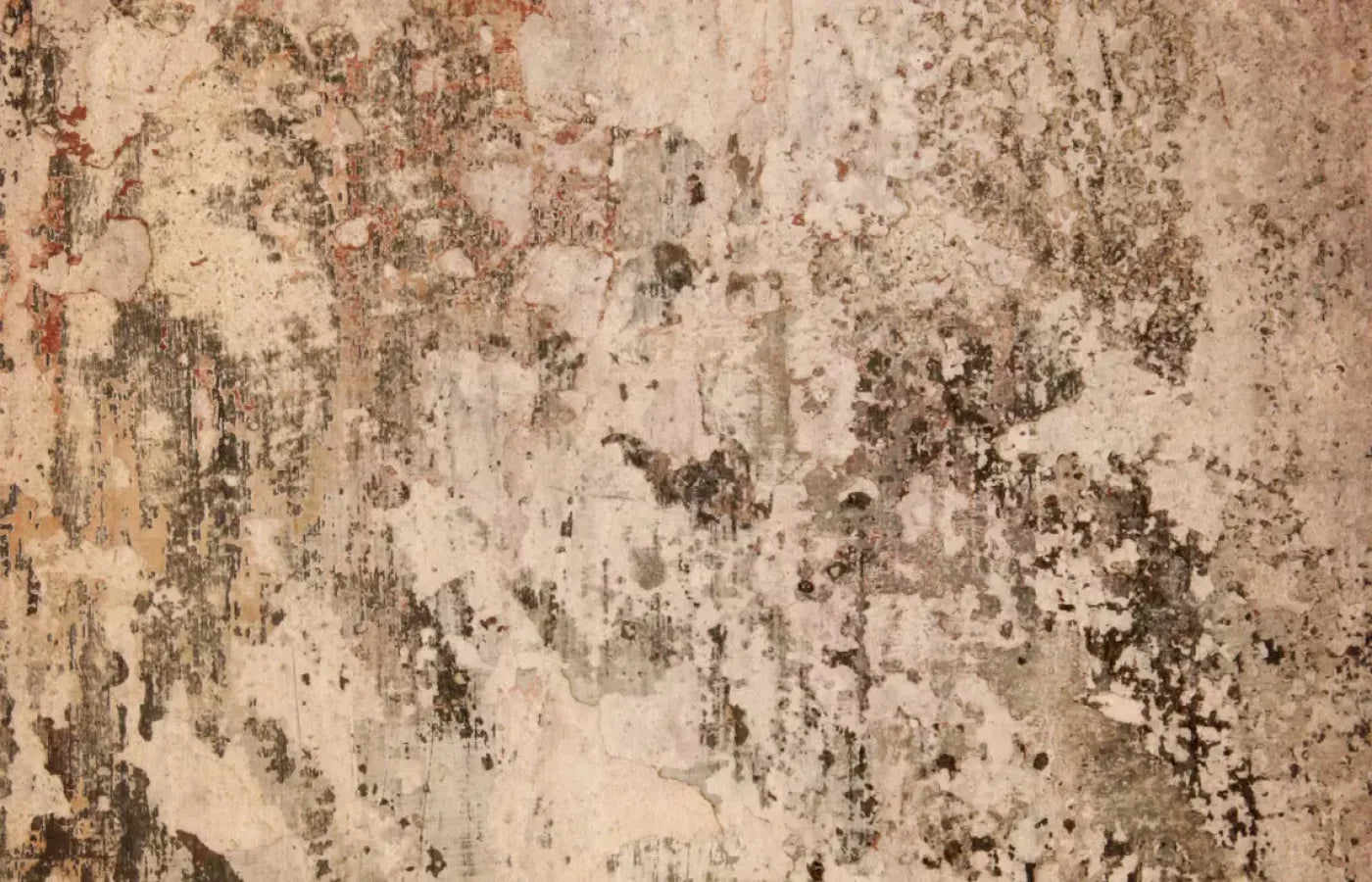 Corroded 12’X8’ Ultracloth (144 X 96 Inch) Backdrop