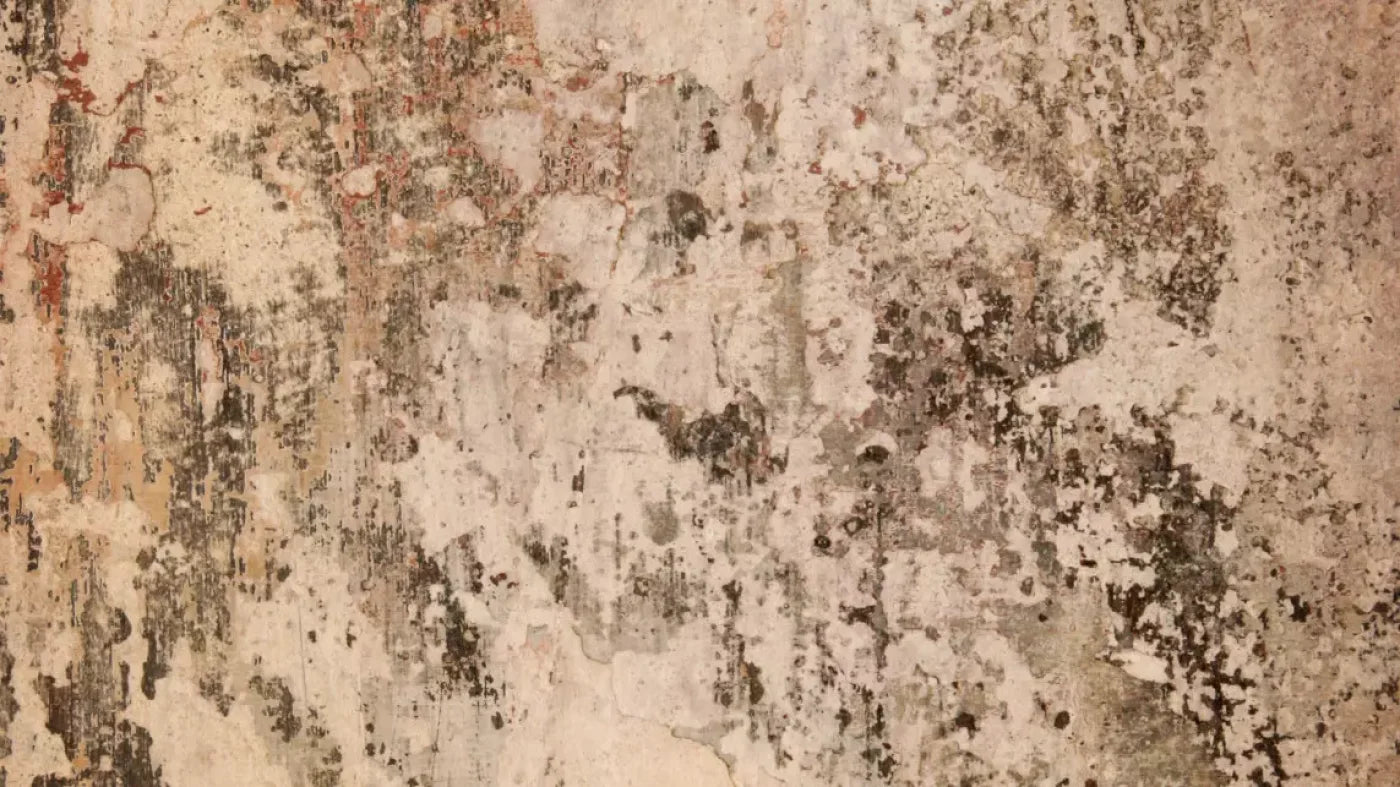 Corroded 14’X8’ Ultracloth (168 X 96 Inch) Backdrop
