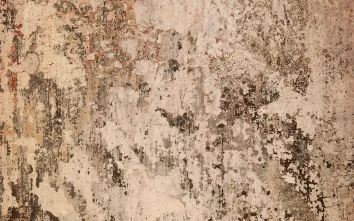 Corroded 14’X9’ Ultracloth (168 X 108 Inch) Backdrop