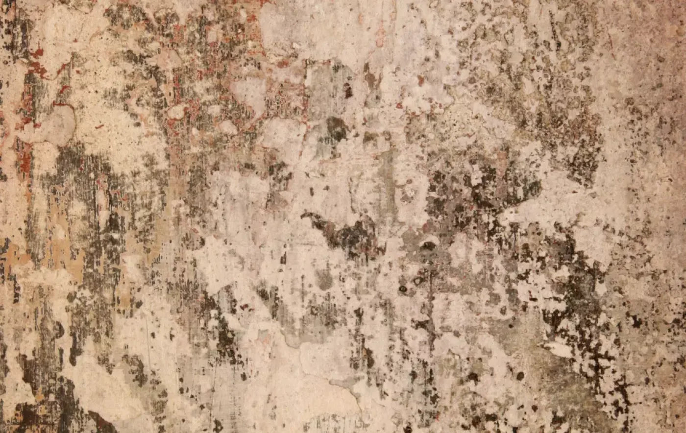 Corroded 16’X10’ Ultracloth (192 X 120 Inch) Backdrop
