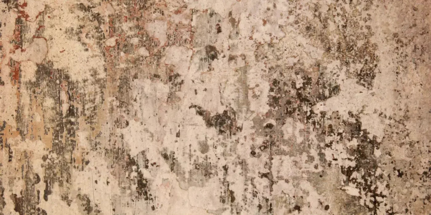 Corroded 20’X10’ Ultracloth (240 X 120 Inch) Backdrop