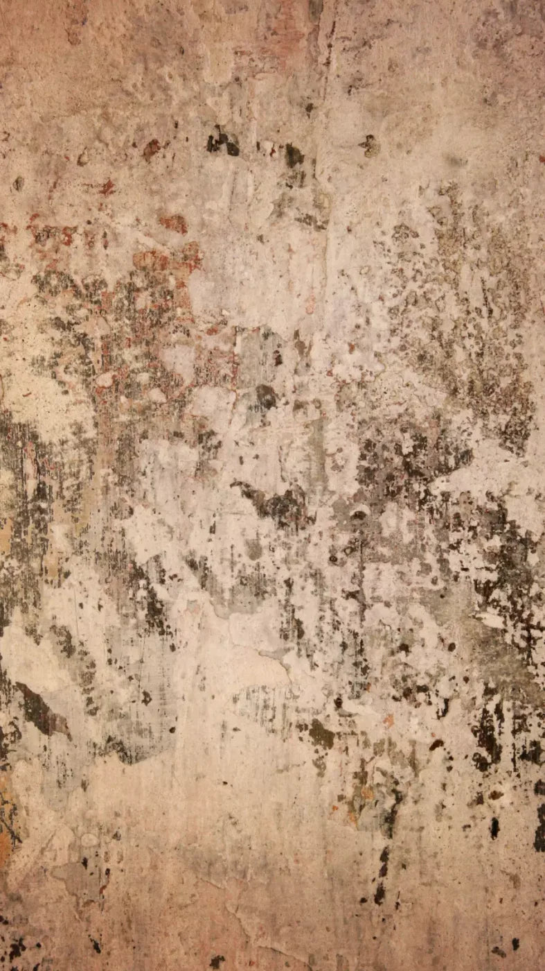Corroded 8’X14’ Ultracloth (96 X 168 Inch) Backdrop
