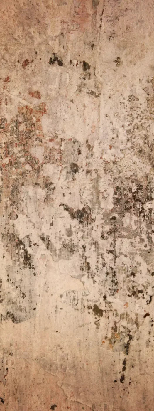 Corroded 8’X20’ Ultracloth (96 X 240 Inch) Backdrop