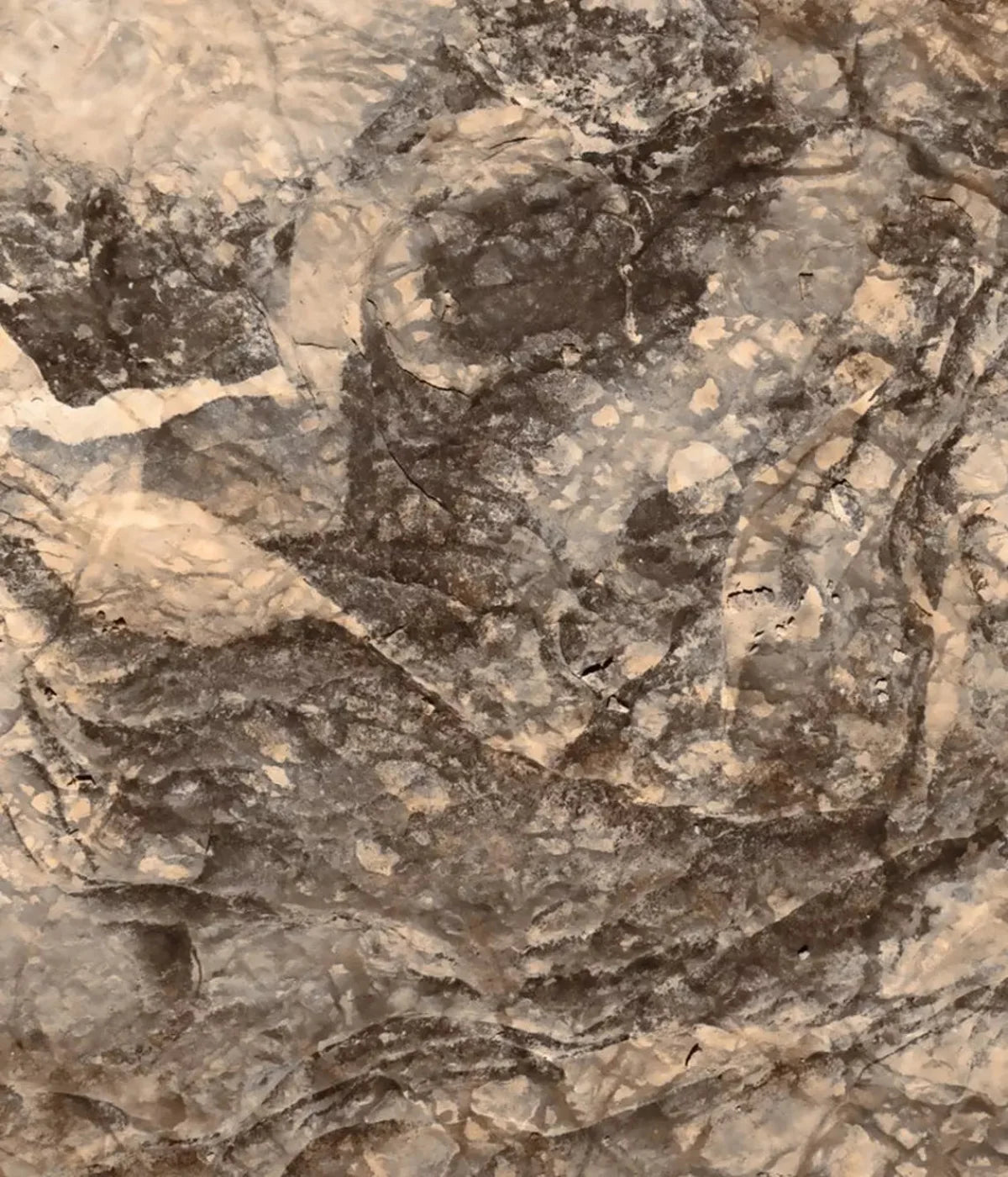 Crater 10X12 Ultracloth ( 120 X 144 Inch ) Backdrop