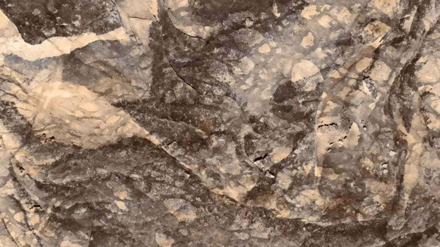 Crater 14X8 Ultracloth ( 168 X 96 Inch ) Backdrop