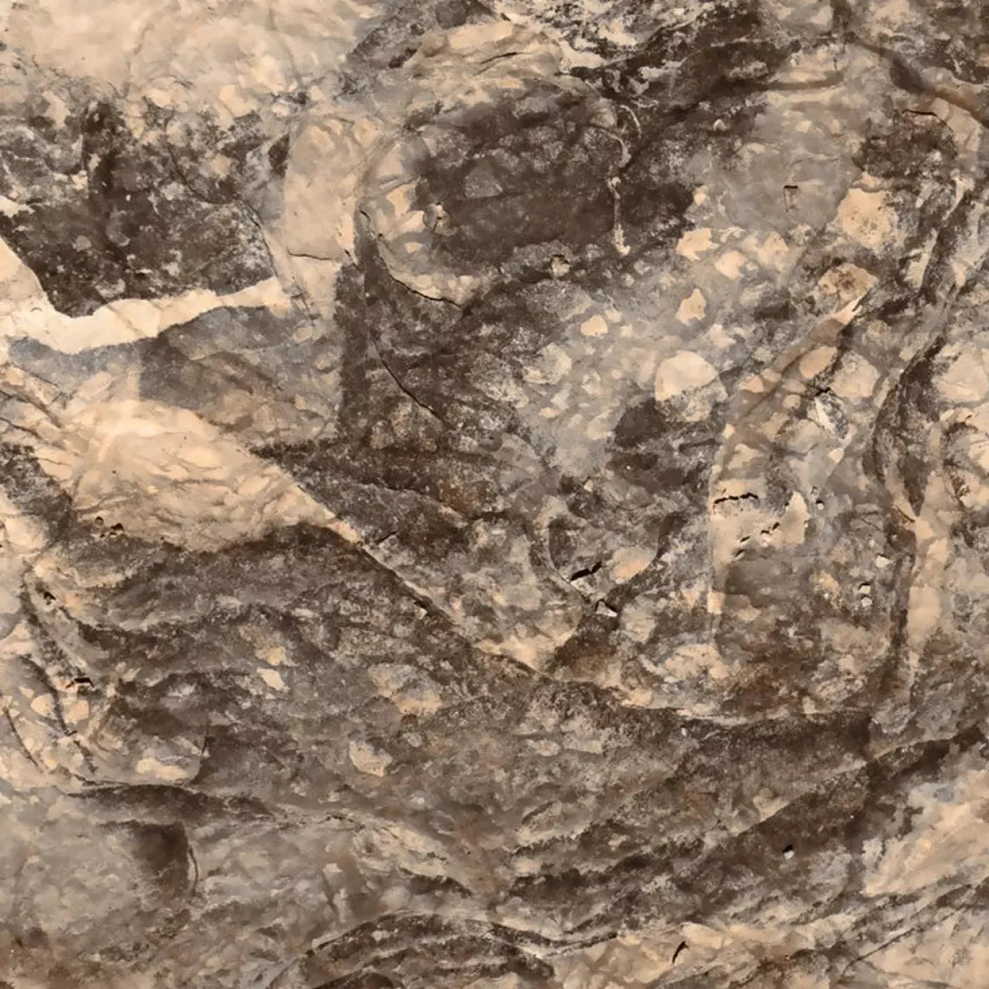 Crater 8X8 Fleece ( 96 X Inch ) Backdrop