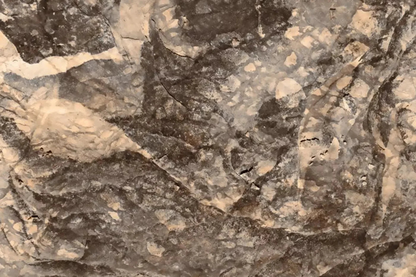 Crater Backdrop