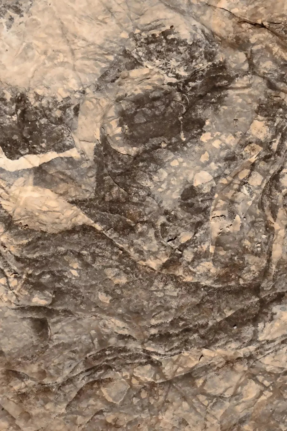 Crater Backdrop