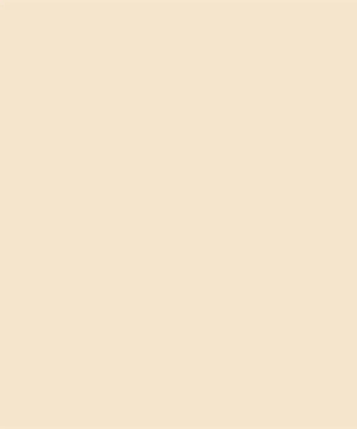 Creme Brulee Beige Solid Color Backdrop for Photography