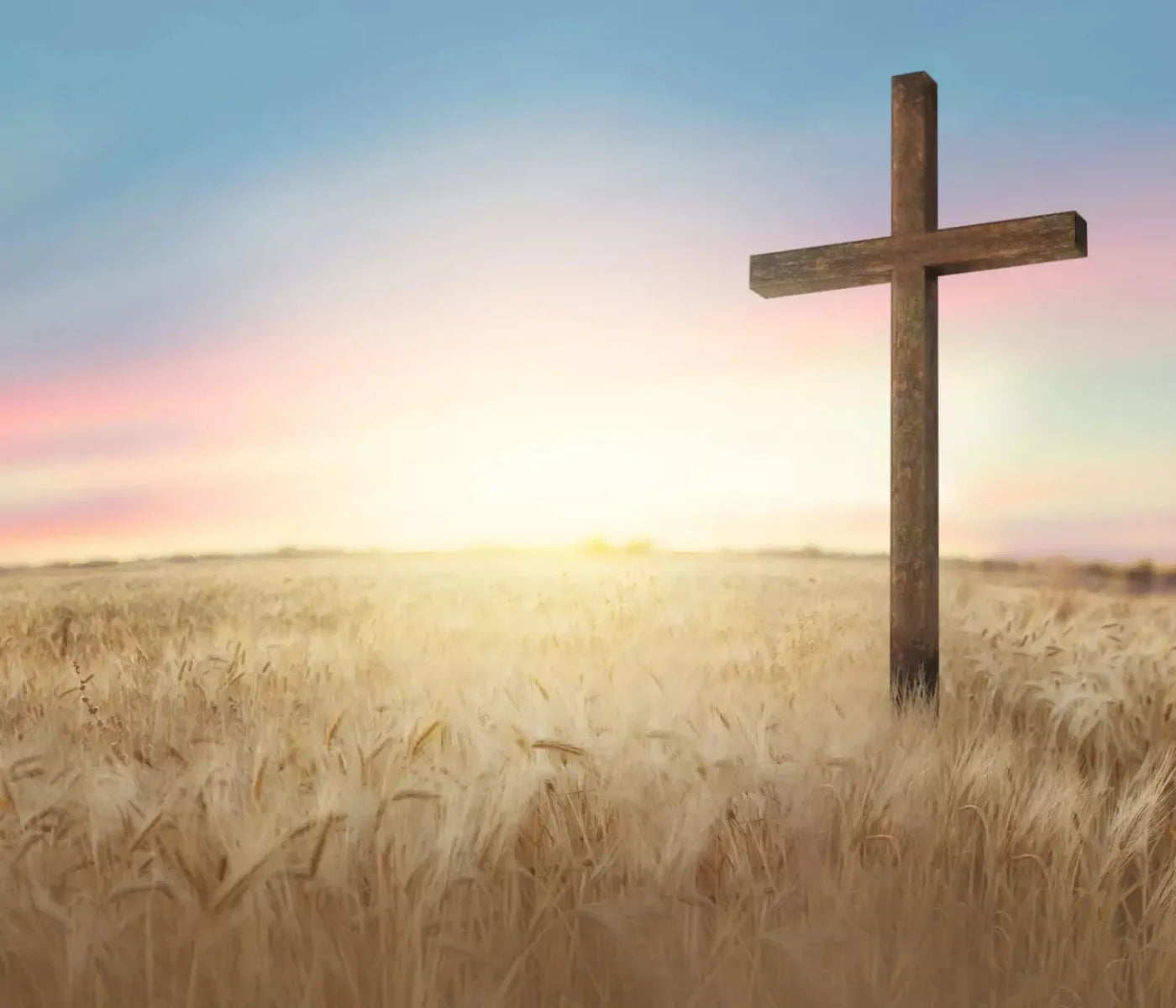 Easter Cross In Wheat Field 12X10 Ultracloth ( 144 X 120 Inch ) Backdrop