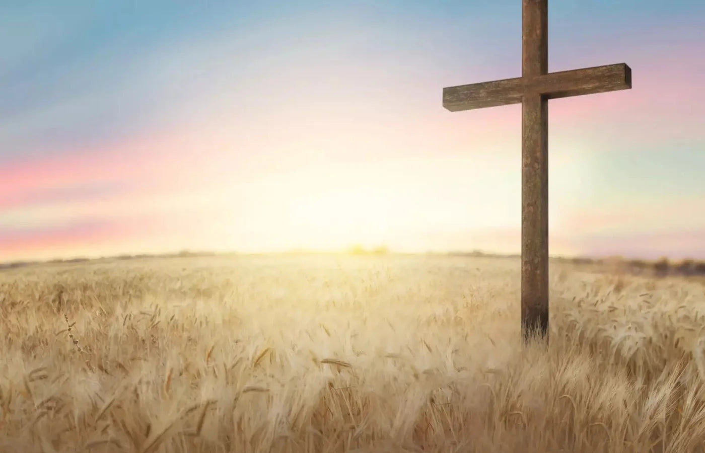 Easter Cross In Wheat Field 12X8 Ultracloth ( 144 X 96 Inch ) Backdrop