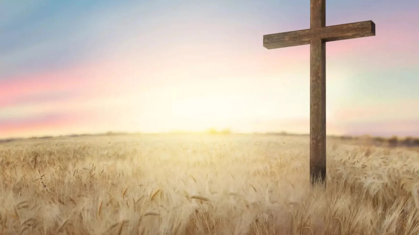 Easter Cross In Wheat Field 14X8 Ultracloth ( 168 X 96 Inch ) Backdrop
