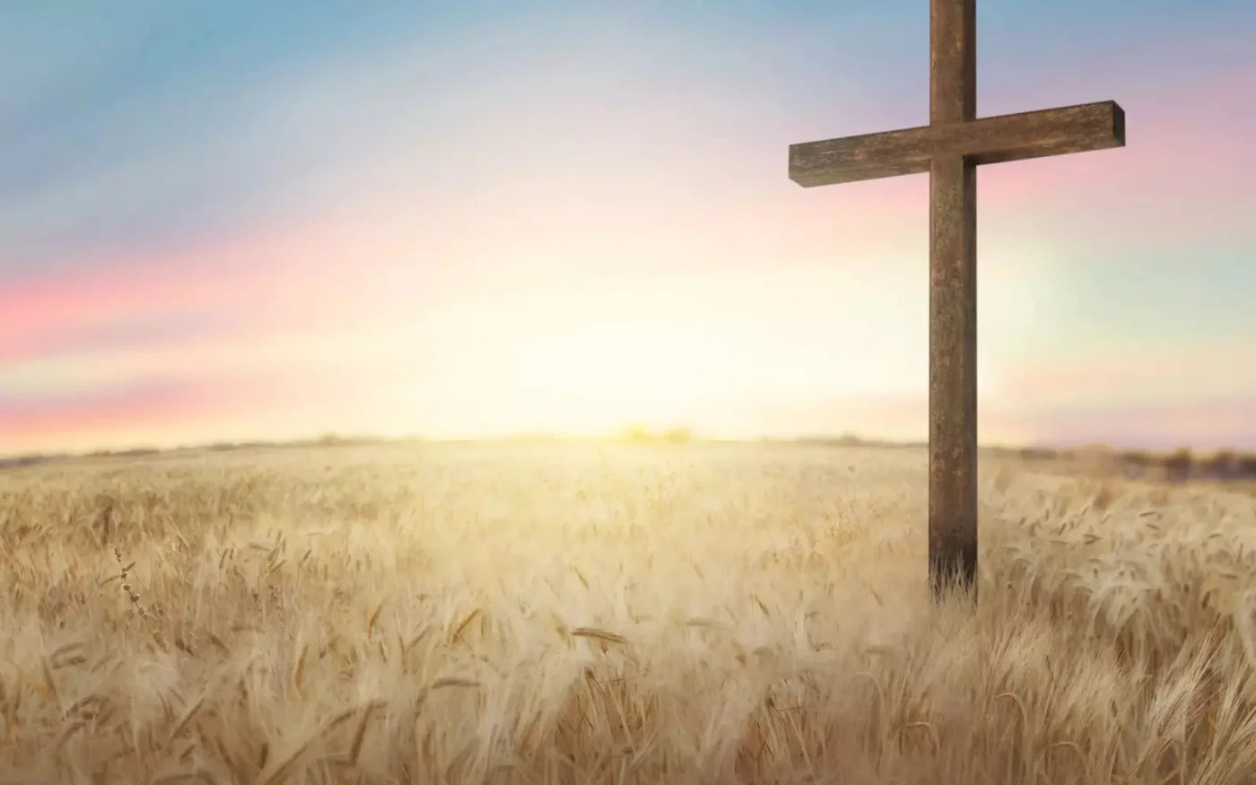 Easter Cross In Wheat Field 14X9 Ultracloth ( 168 X 108 Inch ) Backdrop