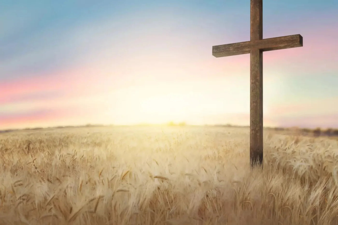 Easter Cross In Wheat Field 8X5 Ultracloth ( 96 X 60 Inch ) Backdrop