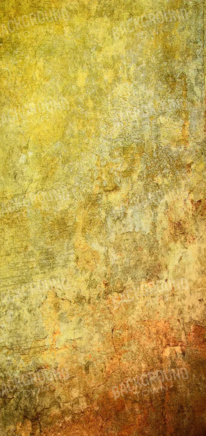 Cryptic 8X16 Ultracloth ( 96 X 192 Inch ) Backdrop