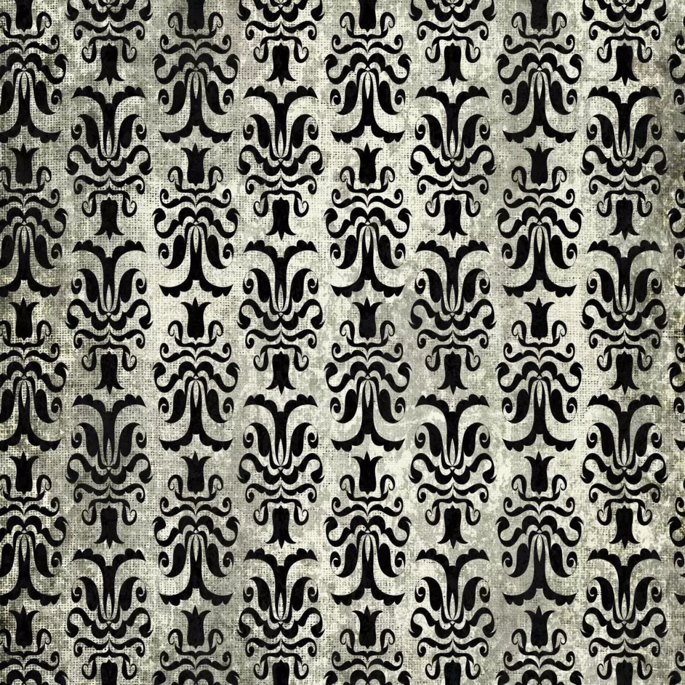 Cultured Backdrop