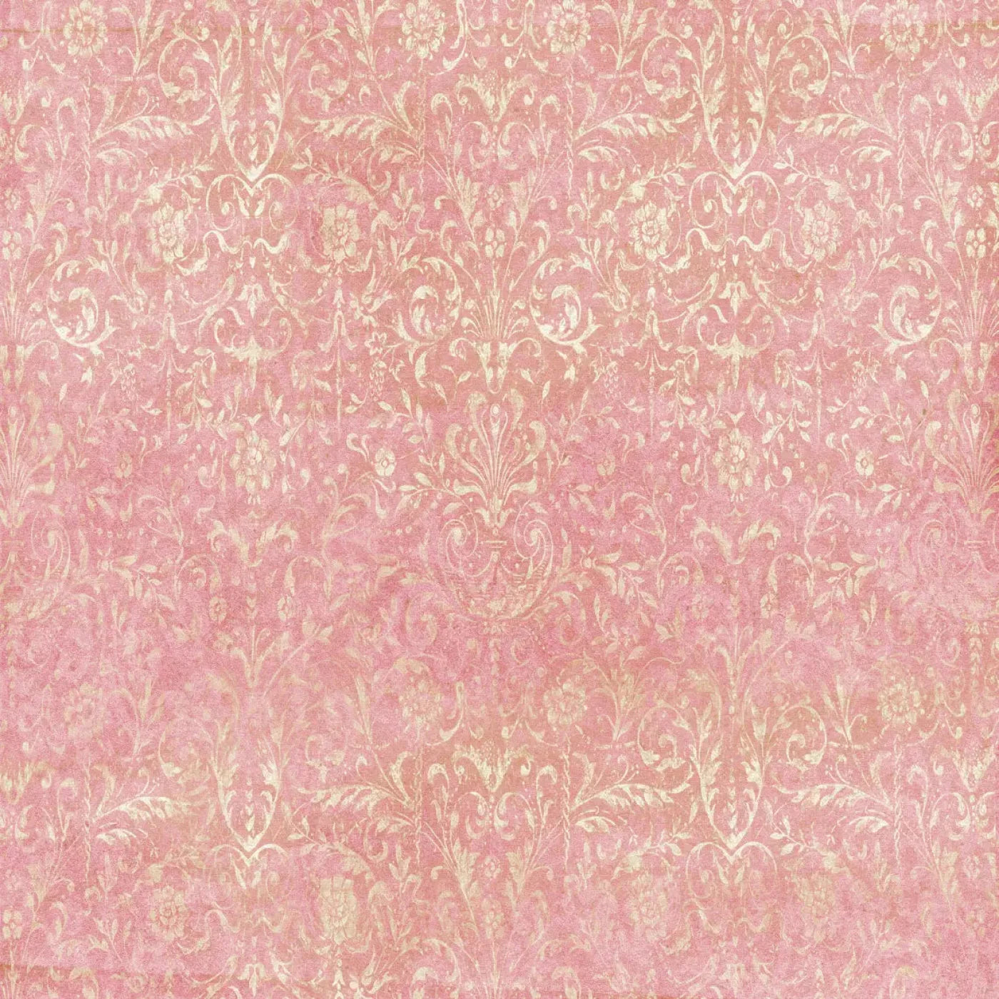 Cynthia Backdrop
