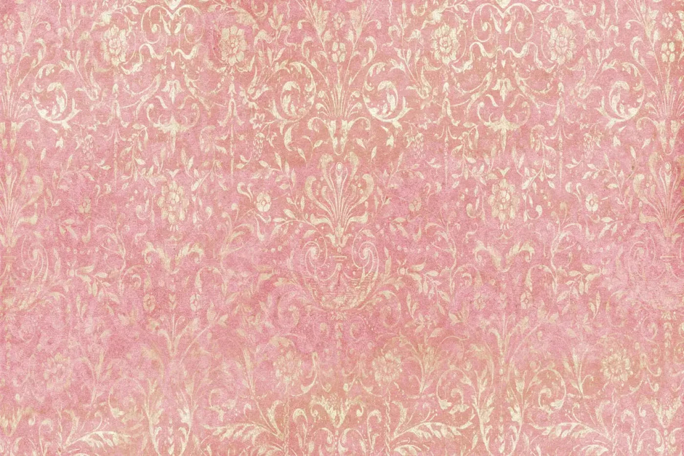 Cynthia Backdrop