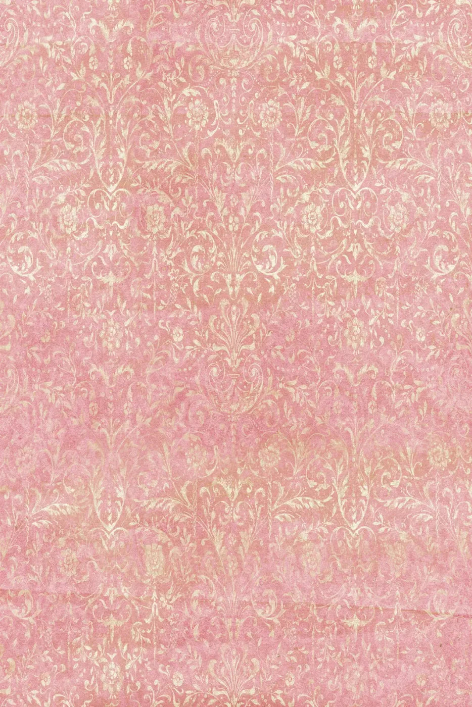 Cynthia Backdrop