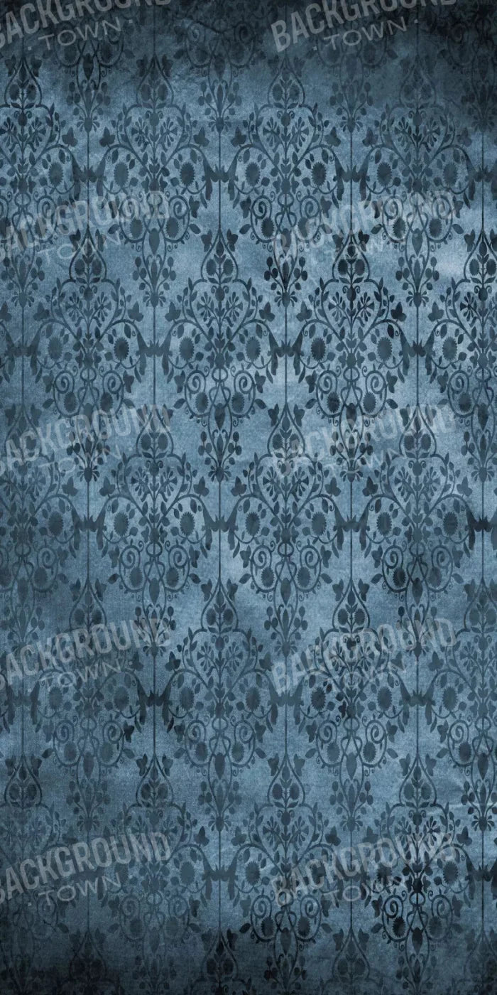 Damion 10X20 Ultracloth ( 120 X 240 Inch ) Backdrop