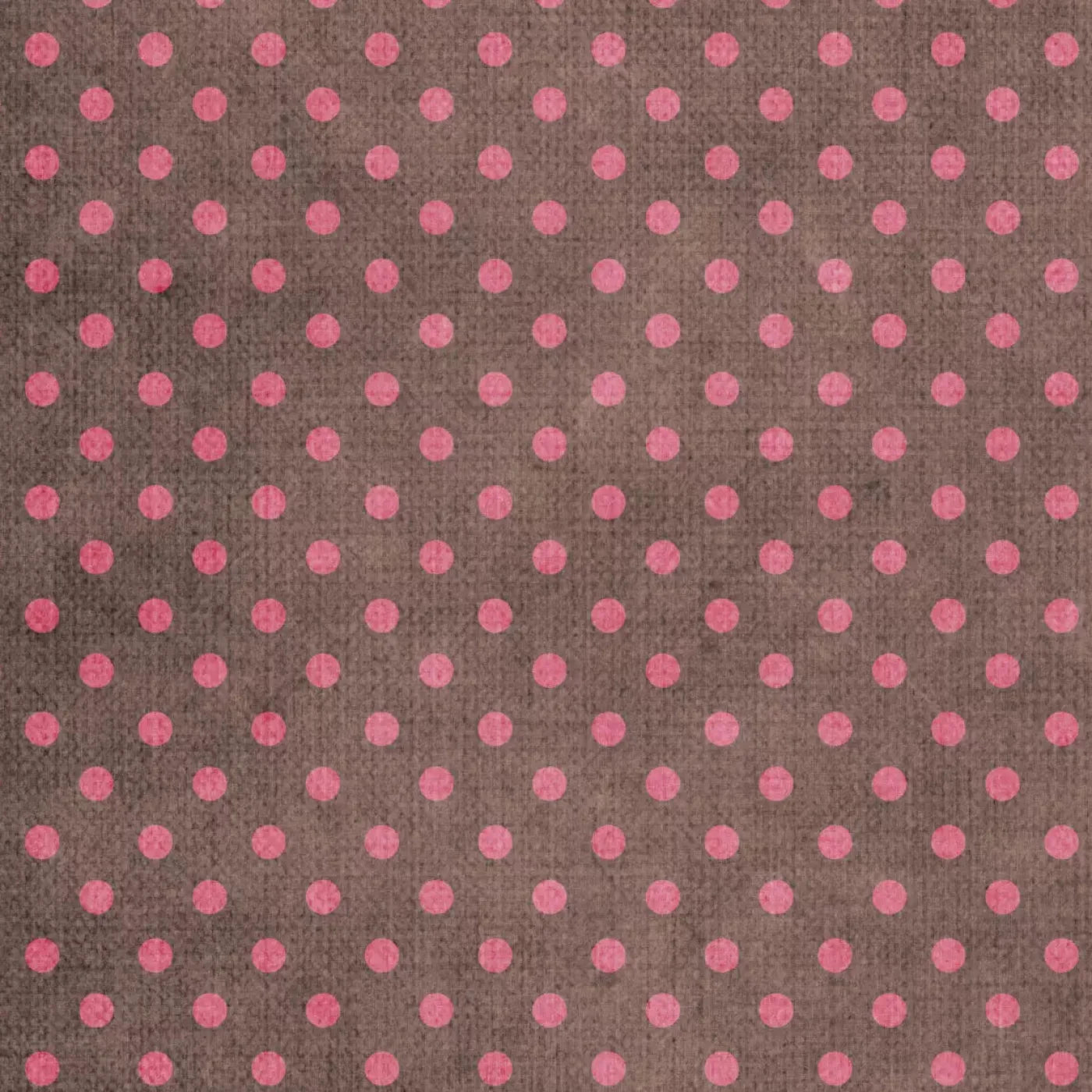 Danielle Backdrop