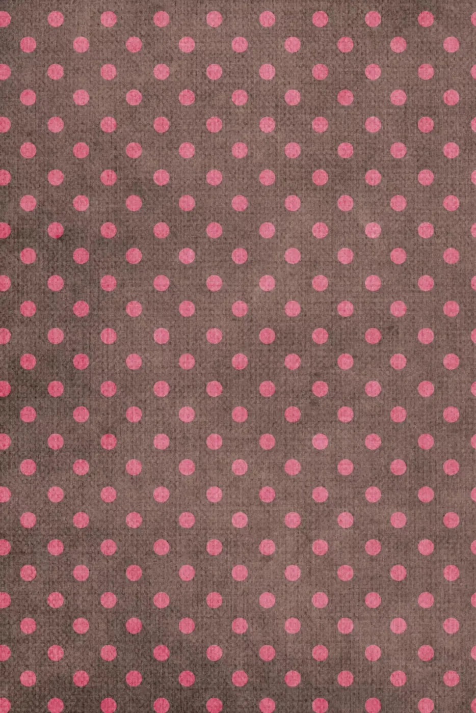 Danielle Backdrop