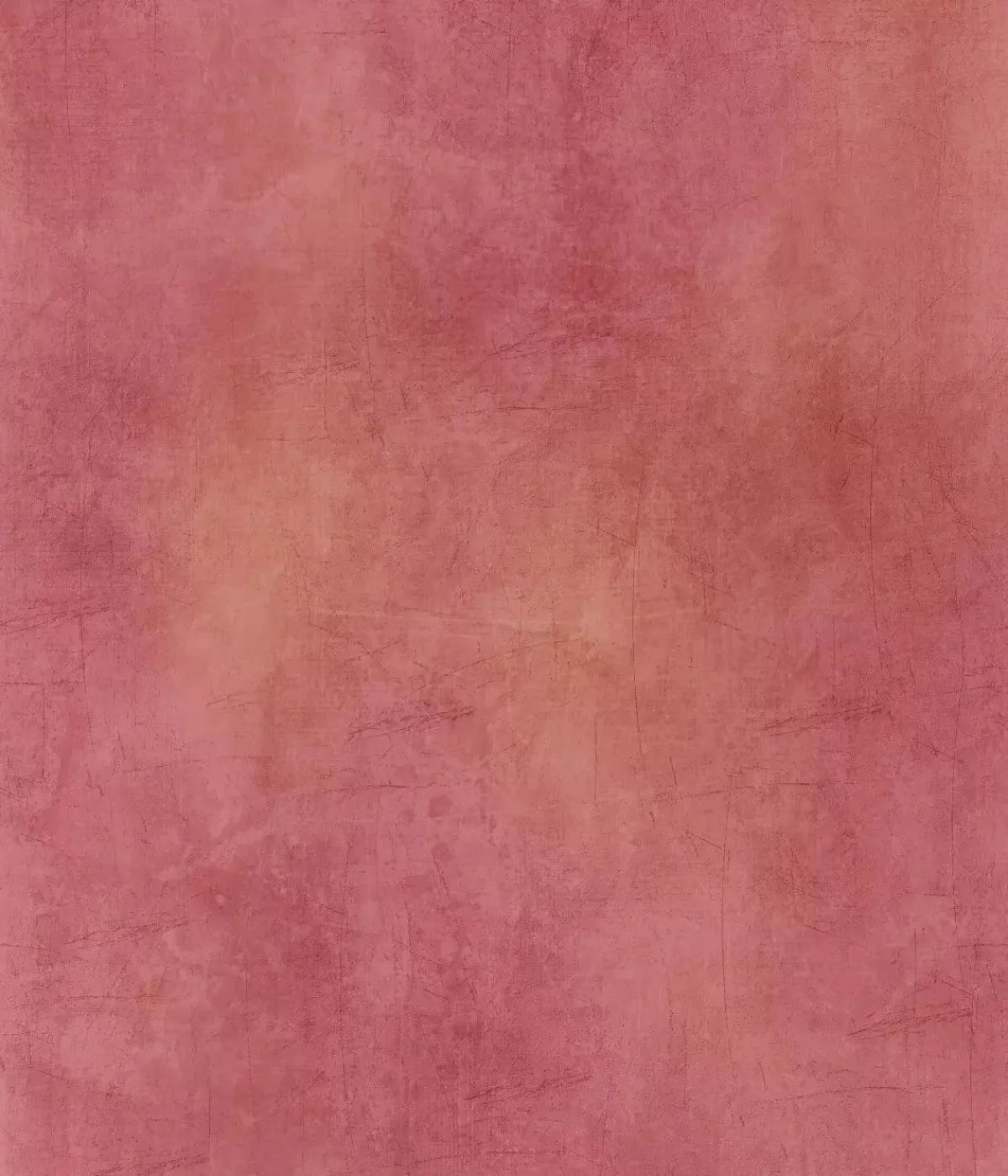 Danique 10X12 Ultracloth ( 120 X 144 Inch ) Backdrop