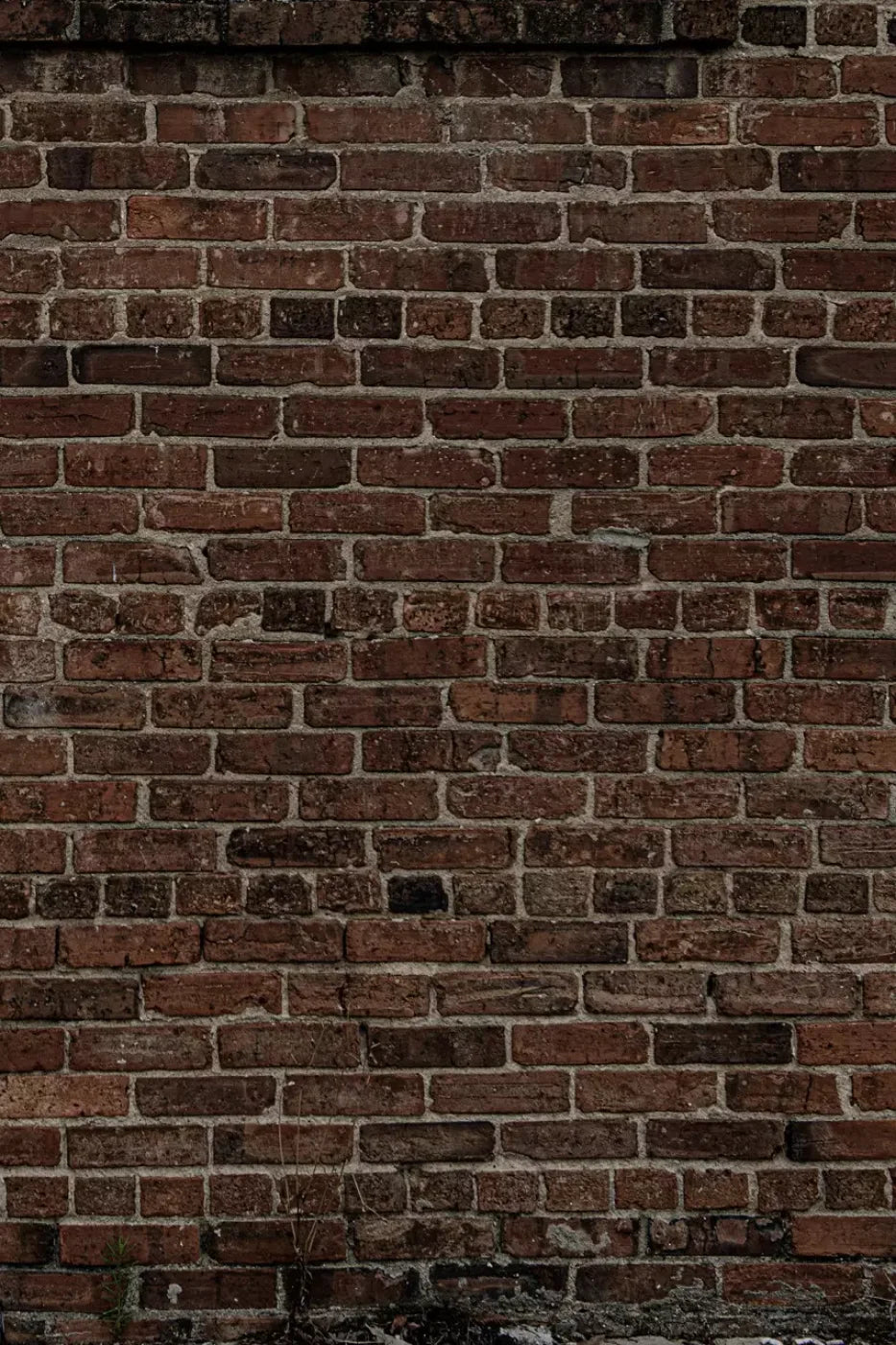 Dark Brick Backdrop