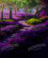 Spring Purple Path Backdrop for Photography