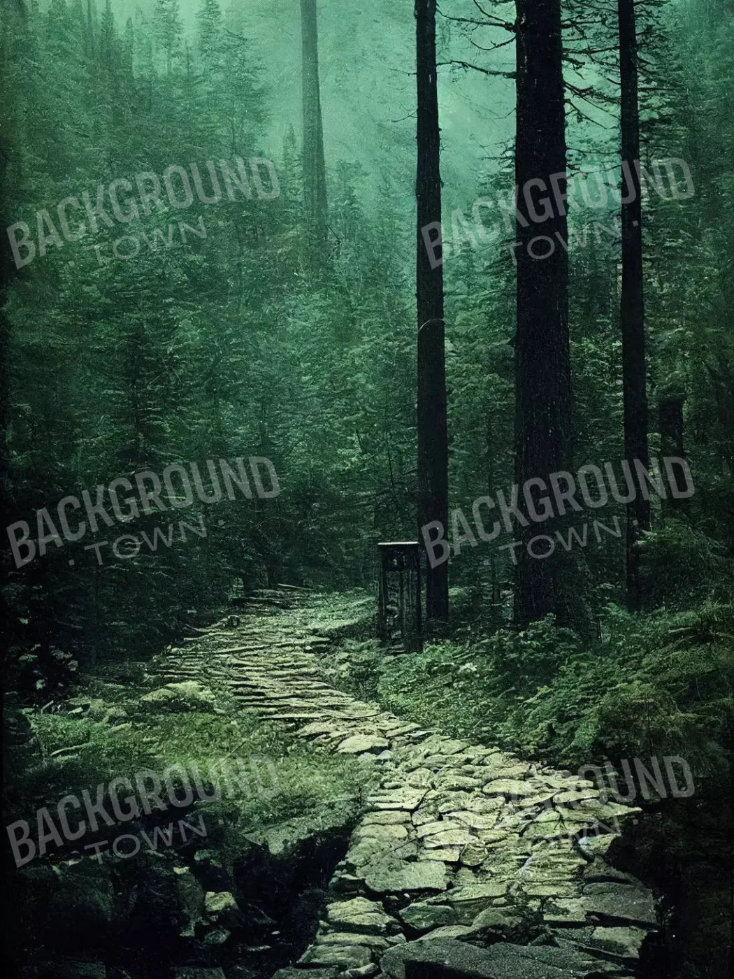 Dark Path 8X10 Fleece ( 96 X 120 Inch ) Backdrop