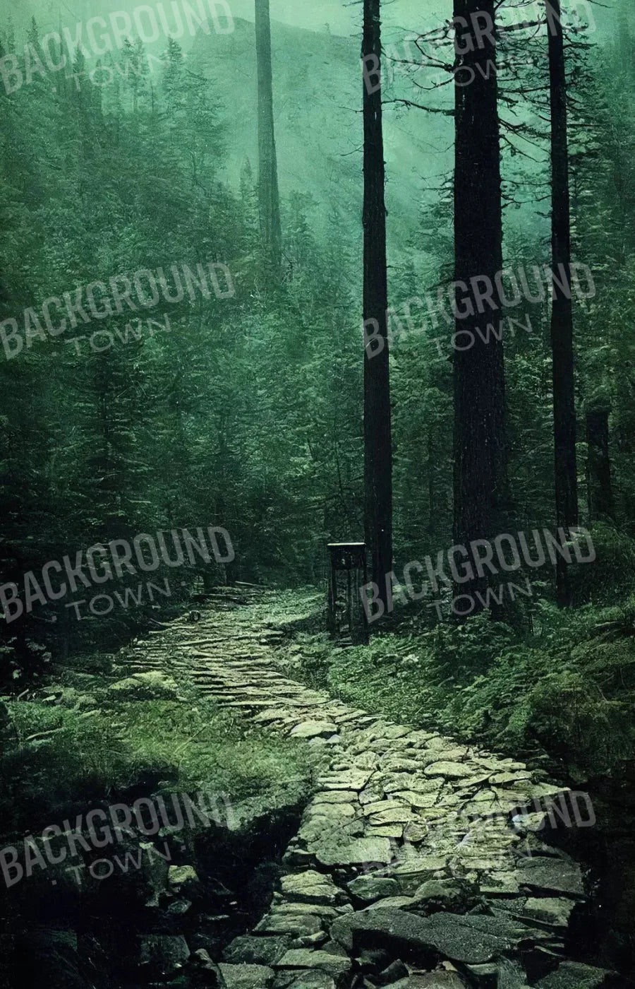 Dark Path 8X12 Ultracloth ( 96 X 144 Inch ) Backdrop
