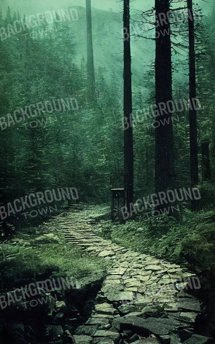 Dark Path 9X14 Ultracloth ( 108 X 168 Inch ) Backdrop