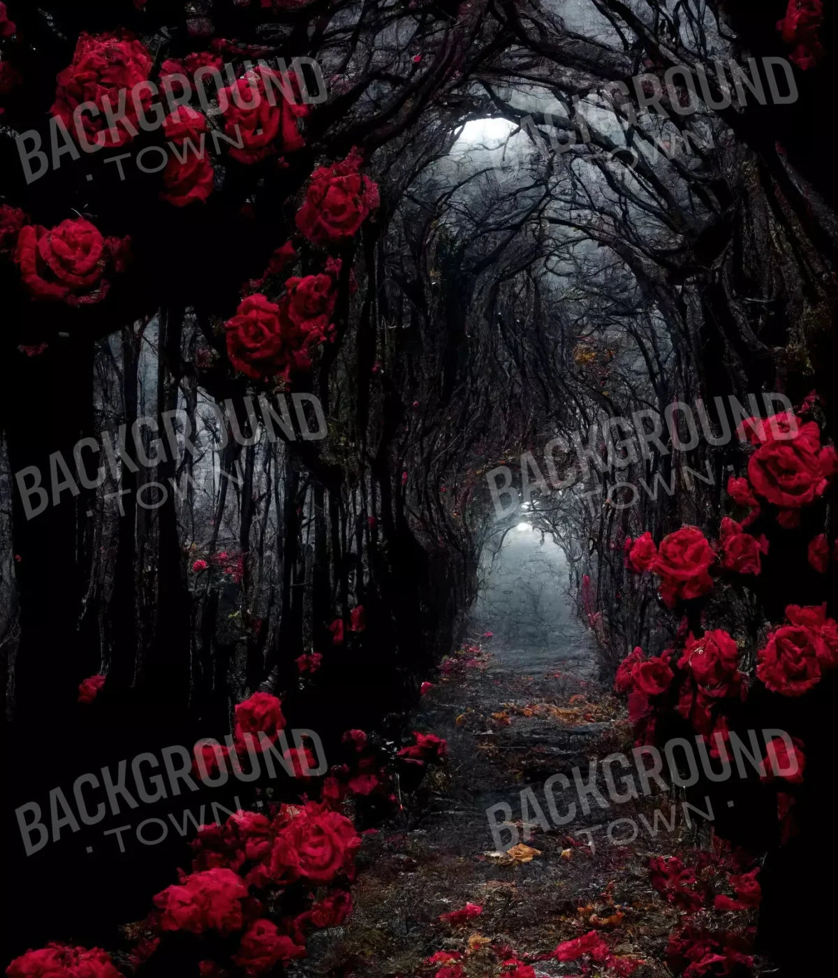 Dark Tunnel 10X12 Ultracloth ( 120 X 144 Inch ) Backdrop