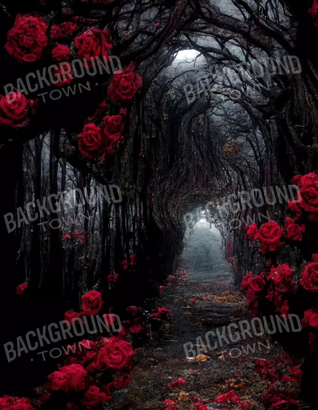 Dark Tunnel 6X8 Fleece ( 72 X 96 Inch ) Backdrop