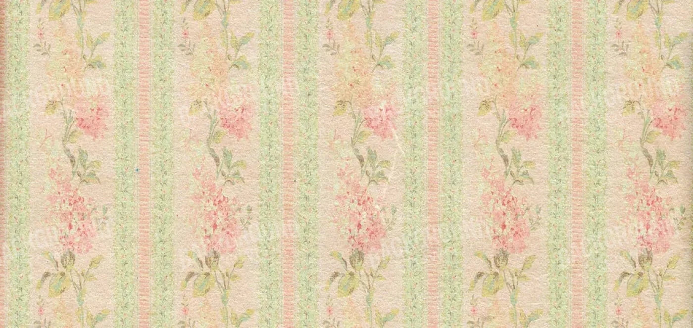 Darlene 16X8 Ultracloth ( 192 X 96 Inch ) Backdrop