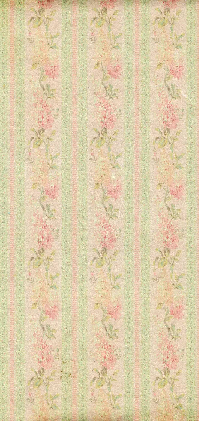 Darlene 8X16 Ultracloth ( 96 X 192 Inch ) Backdrop
