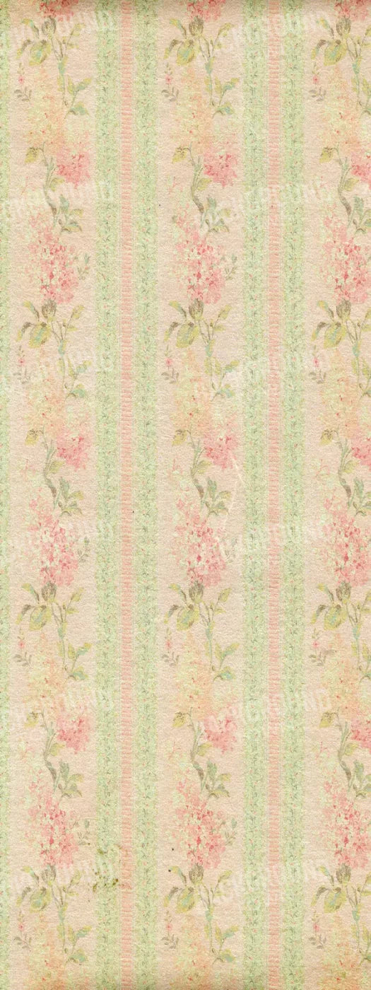 Darlene 8X20 Ultracloth ( 96 X 240 Inch ) Backdrop