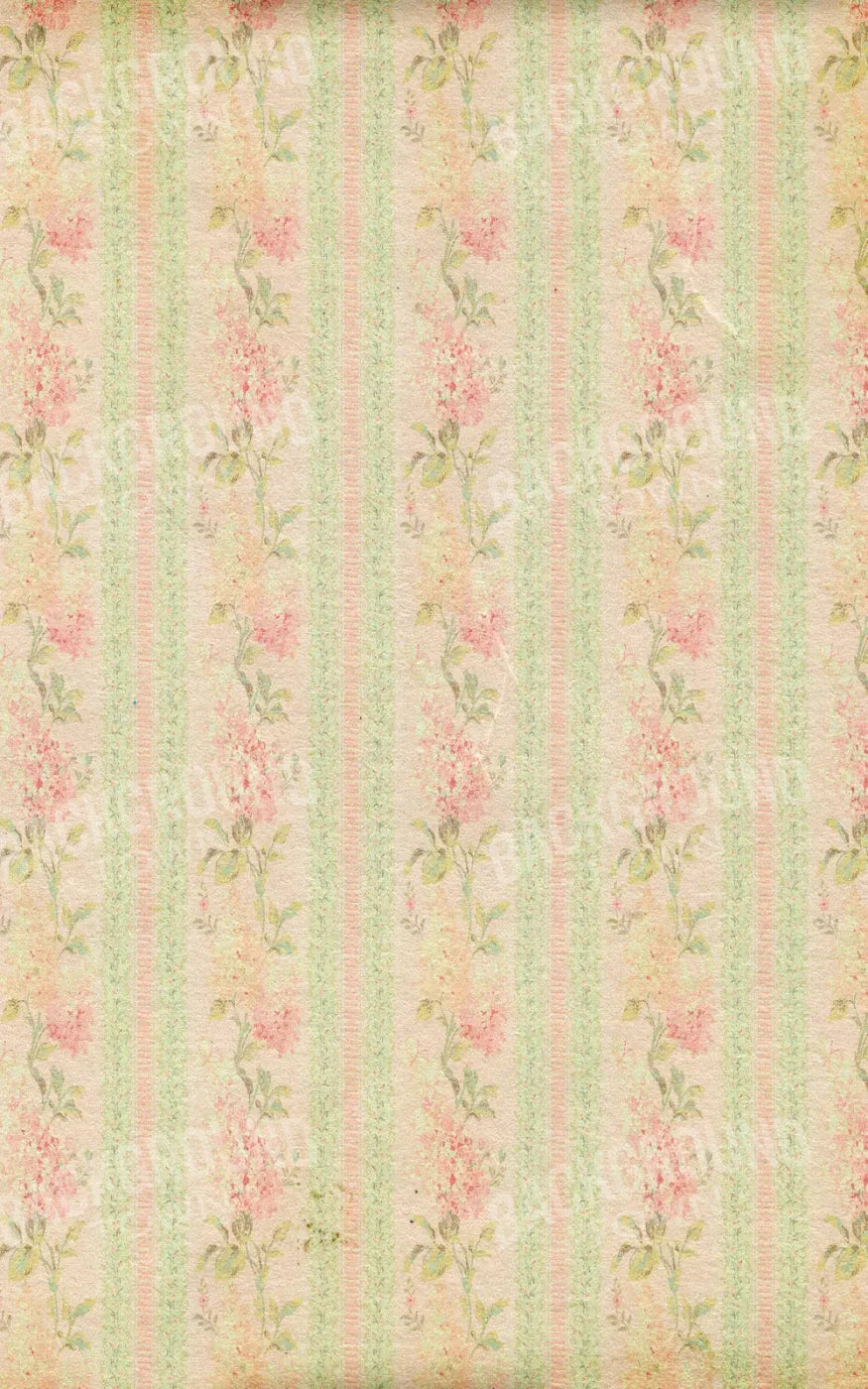 Darlene 9X14 Ultracloth ( 108 X 168 Inch ) Backdrop