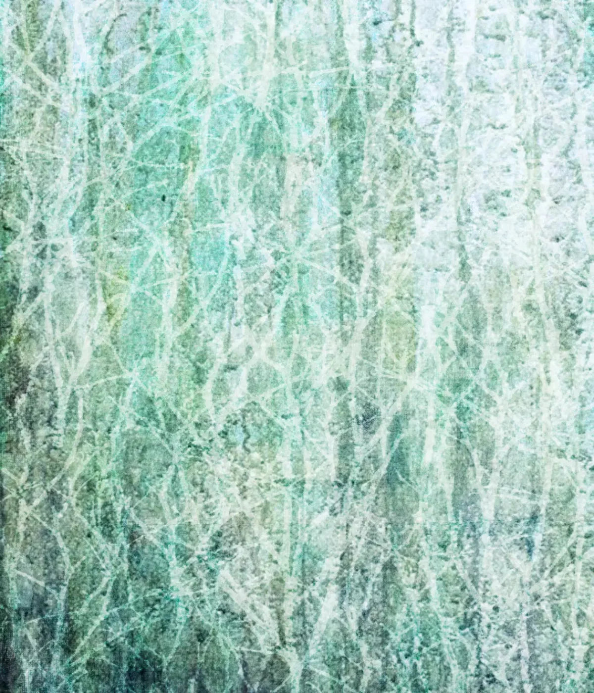 Decline 10X12 Ultracloth ( 120 X 144 Inch ) Backdrop