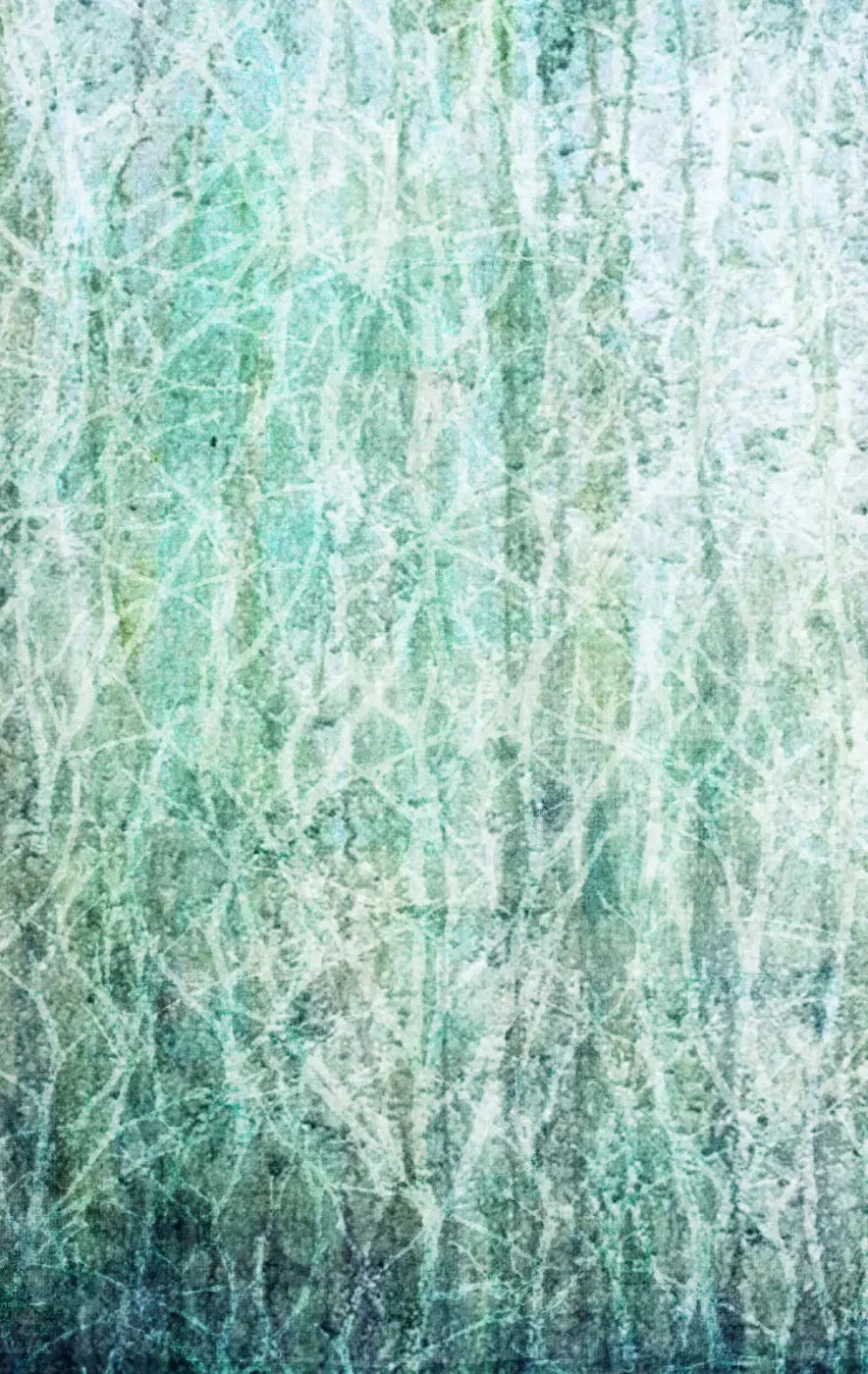 Decline 10X16 Ultracloth ( 120 X 192 Inch ) Backdrop