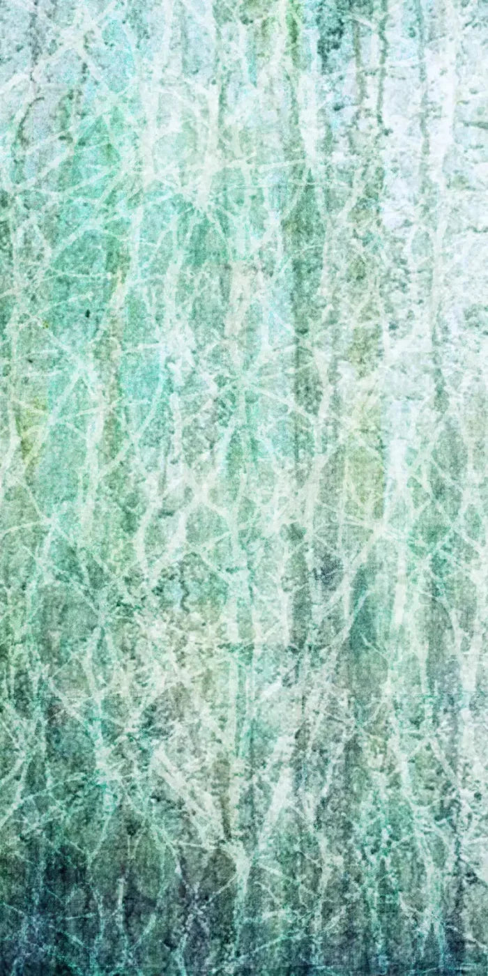 Decline 10X20 Ultracloth ( 120 X 240 Inch ) Backdrop