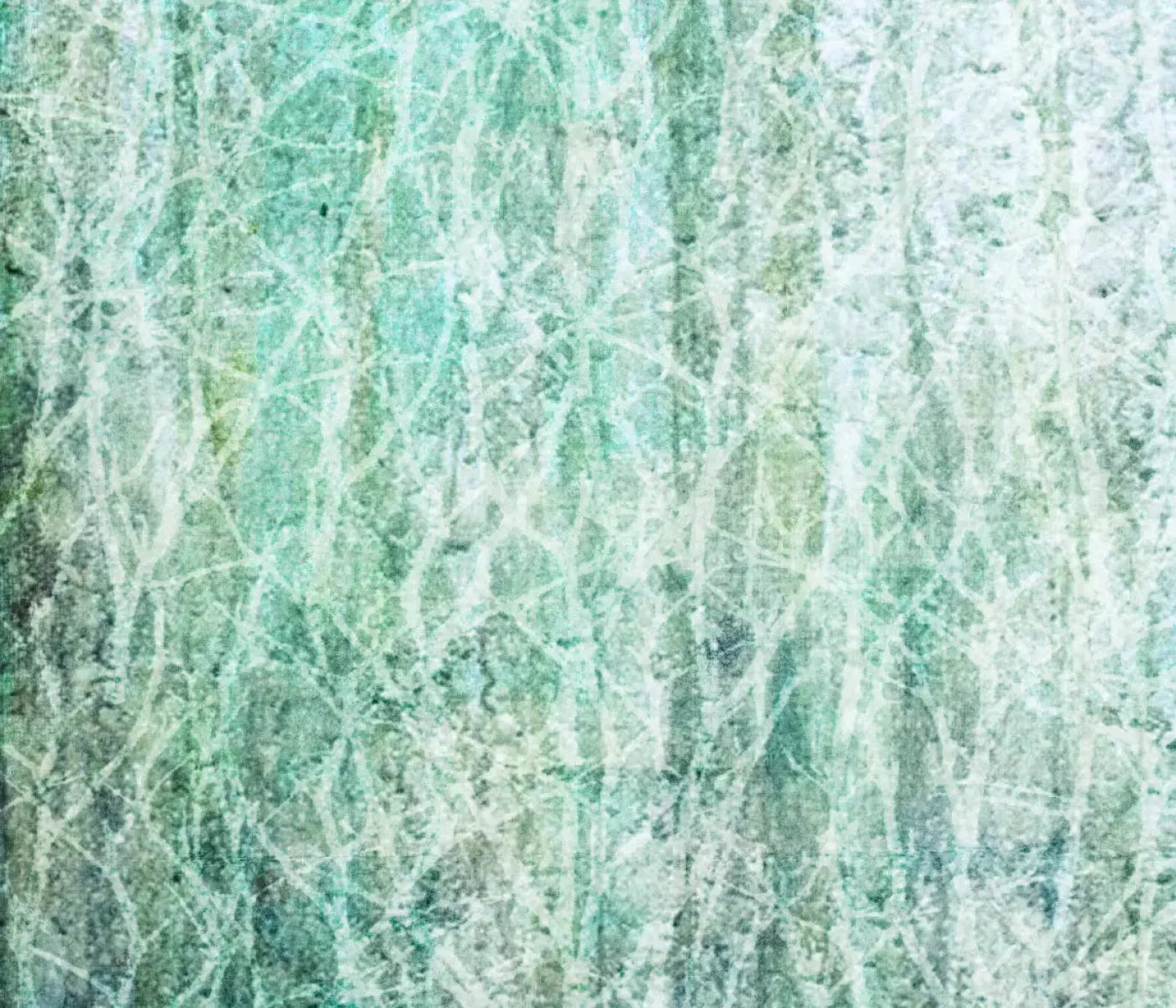 Decline 12X10 Ultracloth ( 144 X 120 Inch ) Backdrop